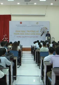 Khai giảng "Trường hè toán học sinh viên năm 2018" tại Đà Nẵng