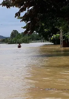 Chủ động phòng chống bão, giảm thiểu thiệt hại do mưa lũ tại Thanh Hóa