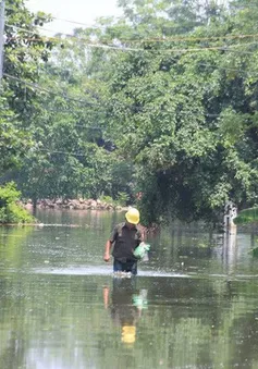 Nguy cơ bùng phát dịch bệnh ở rốn lũ Chương Mỹ, Hà Nội