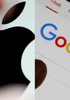 Không cần có bằng đại học khi xin việc tại Google và Apple