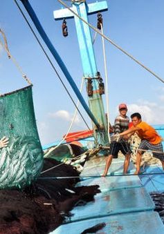 Ngăn chặn khai thác bất hợp pháp từ các chuỗi liên kết