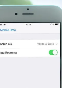 "Tá hỏa" nhận hóa đơn 13.000 USD tiền data roaming dù không vào Internet