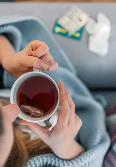 Những lý do làm bạn hay bị ốm sau kỳ nghỉ