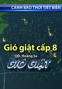 Áp thấp gây mưa dông, gió giật mạnh trên Biển Đông