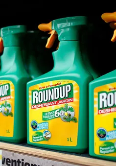 Tranh cãi về thuốc diệt cỏ Glyphosate