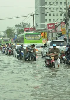 “Công tác chống ngập ở TP.HCM tốn kém nhưng hiệu quả chưa cao”