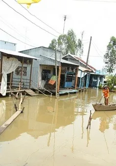 Các địa phương vùng ĐBSCL chủ động triển khai ứng phó với lũ