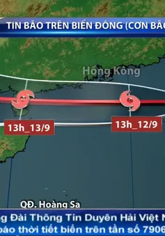 Bão số 5 di chuyển theo hướng Tây và có khả năng mạnh thêm