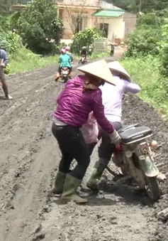 Lâm Đồng: Đường lầy hơn ruộng - nỗi khổ của người dân