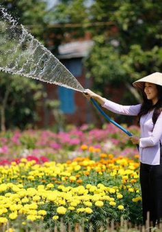 Làng hoa và công viên Sa Đéc thu phí tham quan từ quý IV/2018