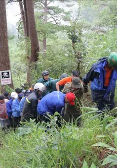 Tạm dừng mọi tour du lịch mạo hiểm vượt thác Datanla, Đà Lạt