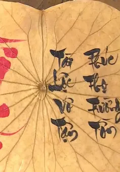 Độc đáo tranh thư pháp trên lá sen