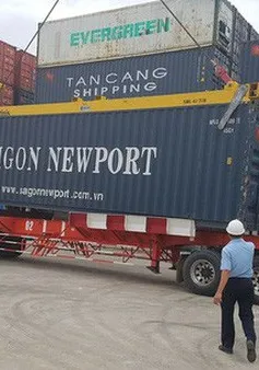 Việt Nam cần 20.000 nhân lực logistics có chất lượng mỗi năm