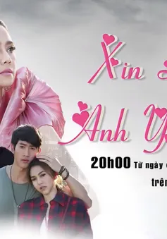 Phim mới trên VTV8 "Xin lỗi, anh yêu em" (20h05 hàng ngày, từ 03/1/2018)