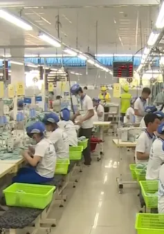 Cắt giảm 50% điều kiện đầu tư kinh doanh: Động lực mới cho tăng trưởng kinh tế