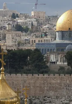 Ngoại trưởng các nước Arab nhóm họp về vấn đề Jerusalem