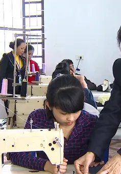 Người hết lòng vì những số phận không may mắn