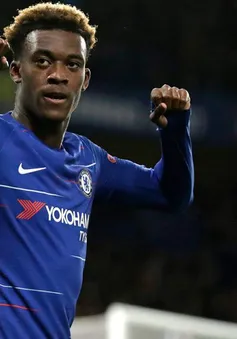 Người cũ khuyên Callum Hudson-Odoi rời Chelsea