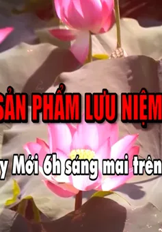 Độc đáo hàng lưu niệm từ lá sen (Chào Ngày Mới, 6h ngày 25/1, VTV8)