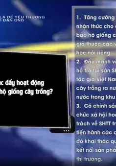 Làm thế nào để thúc đẩy hoạt động sở hữu trí tuệ về bảo hộ giống cây trồng?