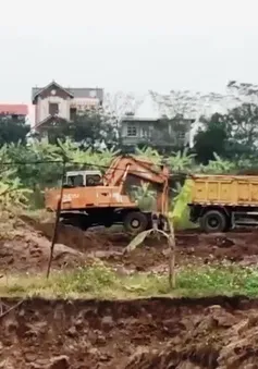 Đất nông nghiệp tại Đông Anh, Hà Nội được cấp phép khai thác cát: Nguồn gốc đất vẫn chưa rõ ràng