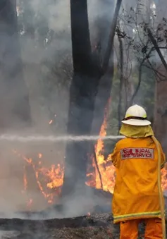 Nguy cơ cháy rừng tồi tệ đe dọa các bang phía Đông Australia