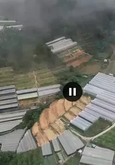 Phá bỏ nhà kính: Có phải là giải pháp khả thi trong phát triển Đà Lạt?