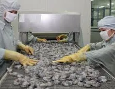 Xuất khẩu tôm sang Trung Quốc tăng trưởng trở lại