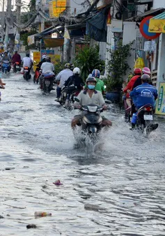 Nhiều nguy cơ bệnh tật do triều cường kéo dài