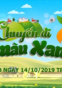 Chuyến đi màu xanh: Cùng Khải "Sở Khanh" trong phim "Người phán xử" khám phá bí quyết cá mòi kho