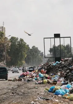 Khủng hoảng rác thải tại Tripoli, Libya