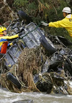 Rác thải nhiễm phóng xạ ở Fukushima biến mất sau bão Hagibis