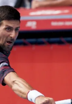 Giải quần vợt Nhật Bản 2019: Novak Djokovic dễ dàng vào bán kết