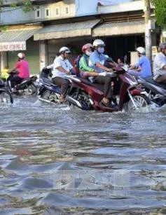 Khoảng 100 tuyến đường bị ngập trên địa bàn thành phố Cần Thơ