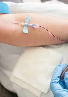 Người đàn ông bị phạt 4 tháng tù vì hiến máu nhiễm HIV