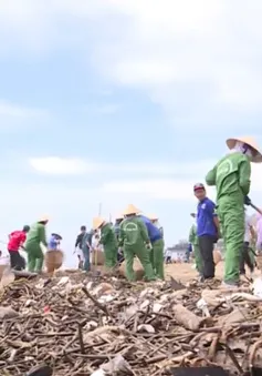 Hàng chục tấn rác đại dương trôi dạt vào bờ biển Vũng Tàu