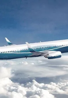 50 máy bay Boeing 737NG ngừng hoạt động do có vết nứt ở thân