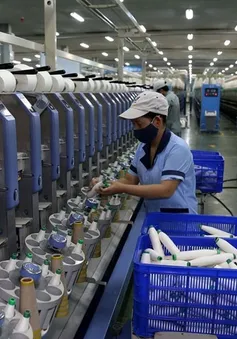 Fitch Ratings: Kinh tế Việt Nam là điểm sáng trong khu vực