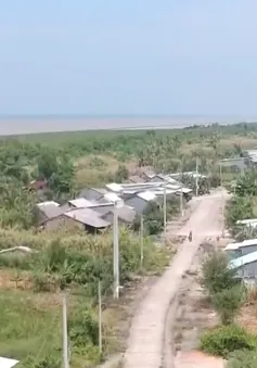 Gian nan tái định cư cho người dân vùng sạt lở Cà Mau
