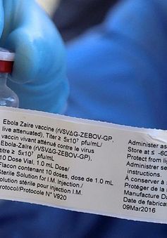 WHO đẩy nhanh quy trình cấp phép vaccine Ebola đầu tiên