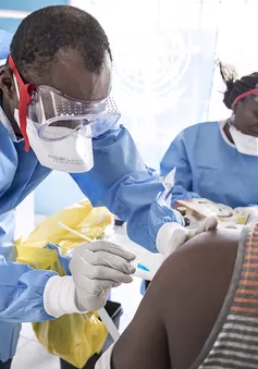 Đưa vào sử dụng vaccine Ebola thứ hai tại CHDC Congo