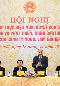 Các công ty nông, lâm nghiệp phải thực hiện 3 sứ mệnh