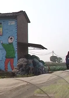 Ghé thăm làng bích họa Chử Xá, Hà Nội