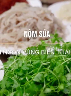 Nộm sứa: Món ngon vùng biển Thái Bình