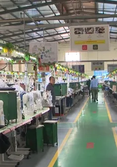 Binh chủng Hóa học xác định nguyên nhân vụ ngộ độc khí khiến hơn 100 công nhân nhập viện