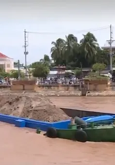 Cọc dừa, đăng đáy cá chực chờ "nuốt chửng" tàu ghe trên sông nước miền Tây