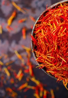 Kết hợp Saffron trong việc chống bệnh trầm cảm