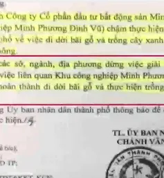 Bãi gỗ trái phép đã dần di chuyển