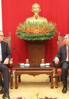 Hợp tác Việt Nam - Đan Mạch trong phát triển năng lượng và bảo vệ môi trường