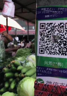 Nối bước Alipay, Wechat Pay hỗ trợ thanh toán di động cho khách du lịch